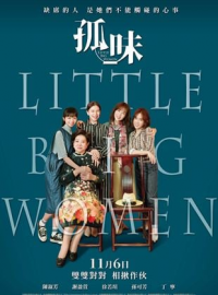 Little Big Women streaming