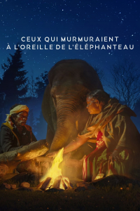 Ceux qui murmuraient à l’oreille de l’éléphanteau streaming