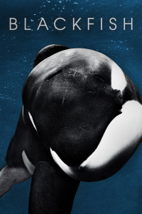 Blackfish streaming