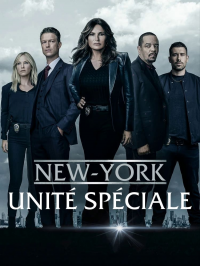 New York : Unité spéciale Saison 17 en streaming français