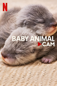 Bébés animaux en direct Saison 1 en streaming français