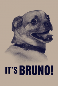 It's Bruno! Saison 1 en streaming français