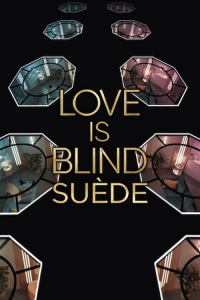 Love Is Blind : Suède Saison 1 en streaming français