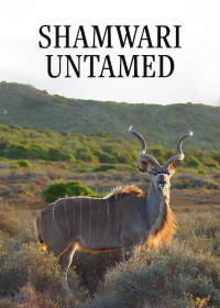 Shamwari Untamed