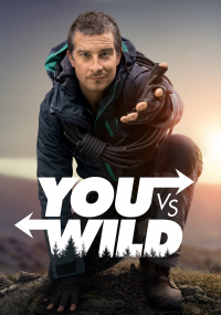 You vs. Wild streaming