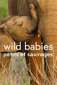 Wild Babies : Petits et Sauvages saison 1 épisode 6